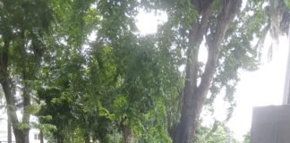 Rencana Aksi Unjuk Rasa di Gedung Capitol 16 Batal, Polisi Tetap Siaga