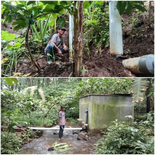 Hulu ke Hilir, Sebuah Mimpi yang terwujudkan Bagi Kelompok Tani Sumber Kelopo 01 Jember