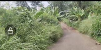 Masyarakat Inisial BL Pertanyakan Dana Rutin Tebas Bayang Dinas PU Provinsi Bengkulu.