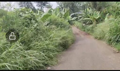 Masyarakat Inisial BL Pertanyakan Dana Rutin Tebas Bayang Dinas PU Provinsi Bengkulu.