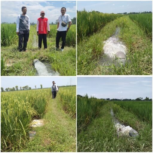 Optimasi Lahan OPLAH, Dorong Para Petani Optimis Tingkatkan Indeks Pertanaman