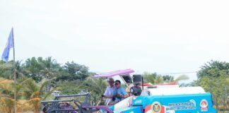 Banten Kembangkan Padi Organik PS-08, Panen Raya Capai 753 Hektare