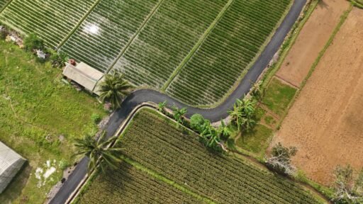 Program Bangun Jalan Desa Sejahtera (Bang Andra) Dirancang Berbasis Data dan Kebutuhan Masyarakat