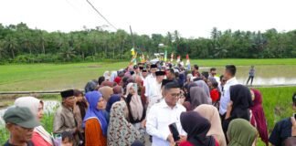 Pemprov Banten Rampungkan Jalan Desa Luwuk–Grewel, Topang 200 Hektare Sawah di Cimarga