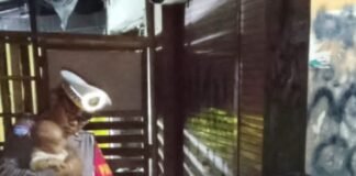 Tim Patroli Polsek Narmada Bantu Ibu Bersama Bayi Pulang ke Rumah
