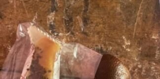 SPPG Sekincau 1 Kembali Sajikan Menu “Seadanya” ke Siswa, Meski Sudah Disanksi