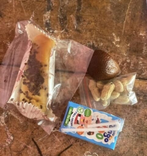 SPPG Sekincau 1 Kembali Sajikan Menu “Seadanya” ke Siswa, Meski Sudah Disanksi