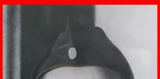 *Mantan Jaksa Agung Menjajakan Es Lilin: Kisah Mengharukan Kasman Singodimedjo*