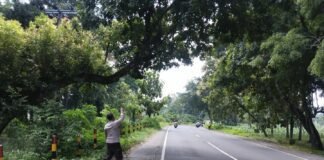 Personil Polsek Ngimbang Gelar Patroli Guna Antisipasi Pohon Tumbang Di Jalur Rawan Bencana