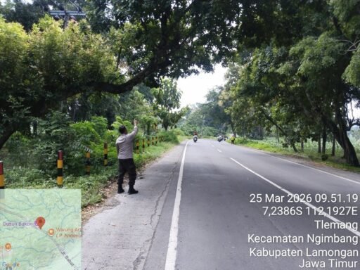 Personil Polsek Ngimbang Gelar Patroli Guna Antisipasi Pohon Tumbang Di Jalur Rawan Bencana