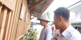 Dukung Ketahanan Pangan, Lapas Mojokerto Kembangkan Pembinaan Ternak Kambing Sejalan 15 Progam Kemenimipas