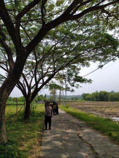 Personil Polsek Ngimbang Gelar Patroli Guna Antisipasi Pohon Tumbang Di Jalur Rawan Bencana