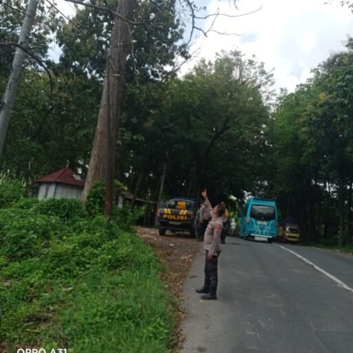 Personil Polsek Ngimbang Gelar Patroli Guna Antisipasi Pohon Tumbang Di Jalur Rawan Bencana
