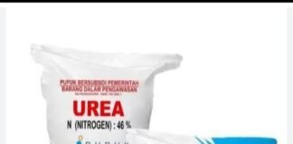 Kelangkaan pupuk bersubsidi di kec.bawolato kab.nias petani gagal panen.