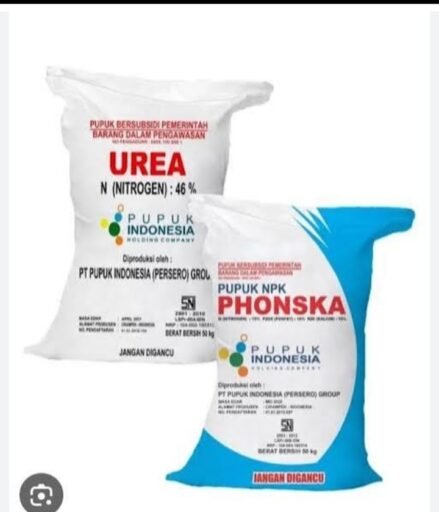 Dayak sireger PUD/Distributor pupukBersubsidi di kab .Nias diduga tipu PPTS , Petani Menjerit