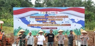 Dampingi Kapolda Banten Tanam Jagung, Andra Soni Tekankan Pentingnya Sinergi