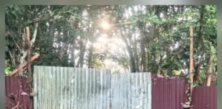 *Gudang Penampungan Oli Bekas di Kebangkitan Diduga Beroperasi Tampa Izin*