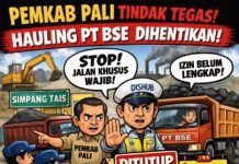 Pemkab PALI Tindak Tegas, Dishub Hentikan Aktivitas Hauling PT BSE di Simpang Tais