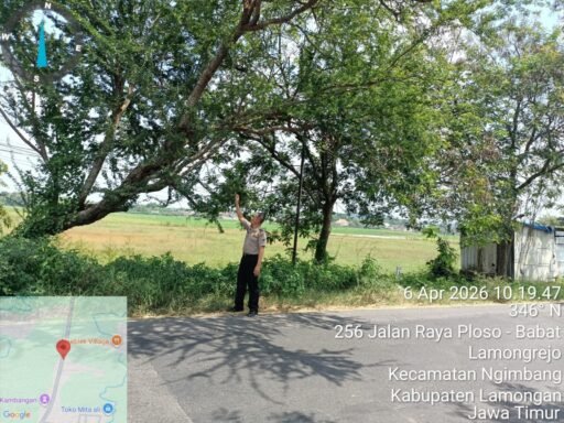 Guna Antisipasi Pohon Tumbang Di Saat Hujan Polsek Ngimbang Gekar Patroli Di Jalur Rawan