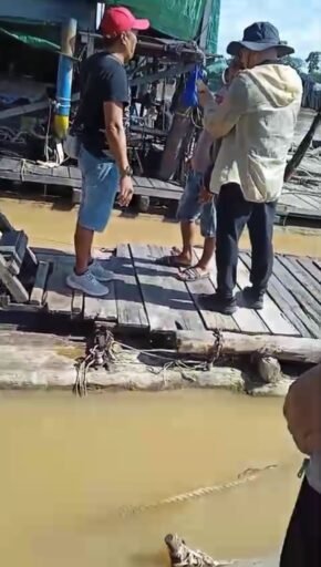 Tambang Liar Dihentikan Nama APRI Disalahgunakan Penambang Diminta Masuk Sistem Resmi RMC