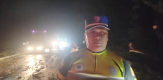 Pohon Tumbang Tutup Jalur Pantura Patokbeusi, Polisi Bergerak Cepat Evakuasi, Lalu Lintas Kembali Normal