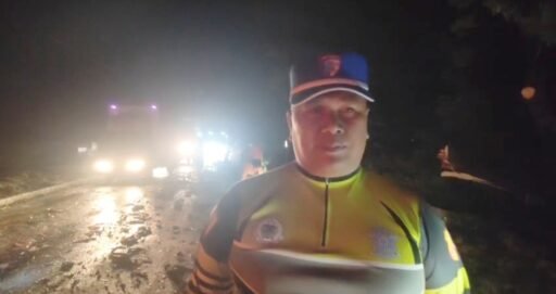 Pohon Tumbang Tutup Jalur Pantura Patokbeusi, Polisi Bergerak Cepat Evakuasi, Lalu Lintas Kembali Normal