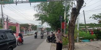 Personil Polsek Ngimbang Gelar Patroli Dan Pengecekan Antisipasi Pohon Tumbang di Daerah Rawan Bencana