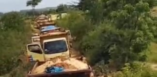 Berani jalan terus!!Tambang diduga ilegal dituban tak tersentuh meski disorot publik.