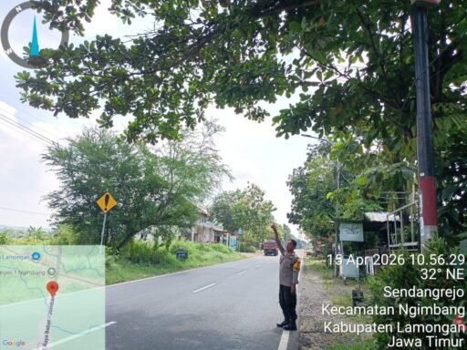 Polsek Ngimbang Gelar Patroli Dan Pengecekan Antisipasi Pohon Tumbang di Daerah Rawan Bencana
