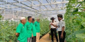 Program Pembinaan Berkelanjutan, Rutan Kelas I Palembang Lanjutkan Penanaman Melon Tahap Kedua