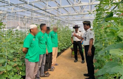 Program Pembinaan Berkelanjutan, Rutan Kelas I Palembang Lanjutkan Penanaman Melon Tahap Kedua