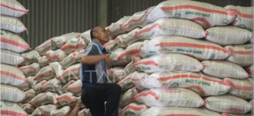 Stok Beras Subang Melimpah Capai 67 Ribu Ton, Bulog Perintahkan Gelar Operasi Pasar Minyakita