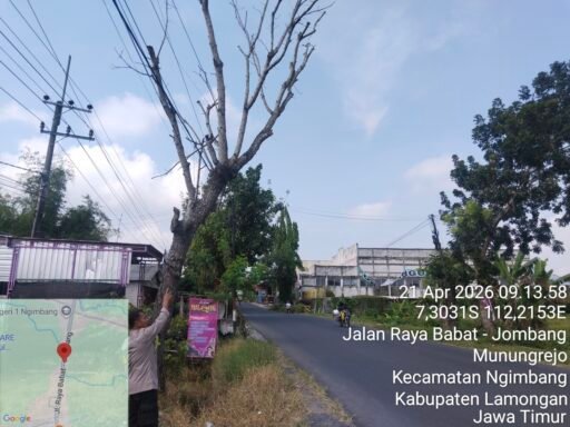 Polsek Ngimbang Gelar Patroli Dan Pengecekan Antisipasi Pohon Tumbang di Daerah Rawan Bencana