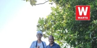 Bako (Oman S. Hidayat) Gandeng Pemprov Jabar, Tanam 500 Pohon Kelapa di Desa Manyeti