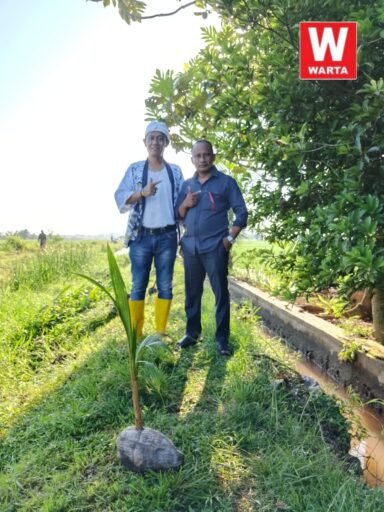 Bako (Oman S. Hidayat) Gandeng Pemprov Jabar, Tanam 500 Pohon Kelapa di Desa Manyeti