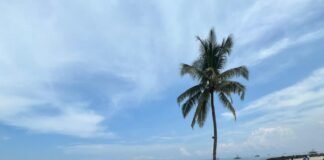 Kawal Persib 20 Anggota Viking Subang Berangkat ke Stadion PKOR