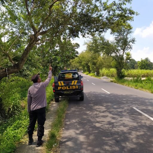 Guna Antisipasi Pohon Tumbang Di Saat Hujan Polsek Ngimbang Gelar pengecekan dan Patroli Di Jalur Rawan