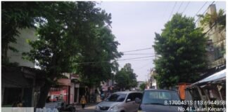 Dinas PUPR Tanggapi Laporan Warga Terkait Perempesan Pohon di Jember