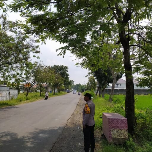 Polsek Ngimbang Gelar Patroli Dan Pengecekan Antisipasi Pohon Tumbang di Daerah Rawan
