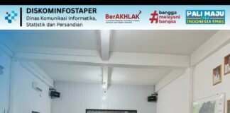 Tingkatkan Kualitas Data, Pemkab PALI Matangkan Persiapan EPSS 2026
