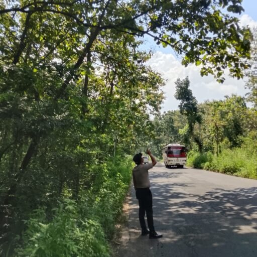 Polsek Ngimbang Gelar Patroli Dan Pengecekan Antisipasi Pohon Tumbang di Daerah Rawan Bencana