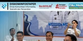 Bentengi Data Pemerintah, Diskominfo PALI Gandeng BSSN Perkuat Keamanan Siber melalui SMKI dan CSIRT