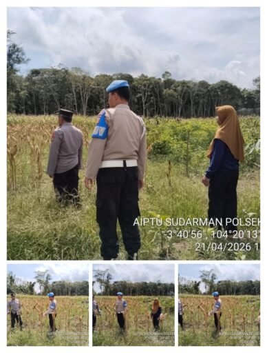 Polsek Rambang Lubai Monitoring Tanaman Jagung, Wujud Nyata Dukung Ketahanan Pangan