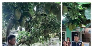 Maraknya Modus Penipuan Melalui Telpon Seluler,Polisi Imbau Waspada Nomor Tidak Dikenal