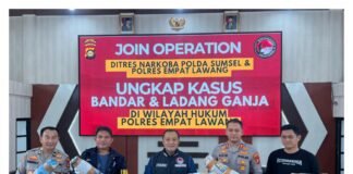 Ditresnarkoba Polda Sum Sel Dan Polres Empat Lawang Ungkap Jaringan Ganja Lintas Provensi Hingga Jawa