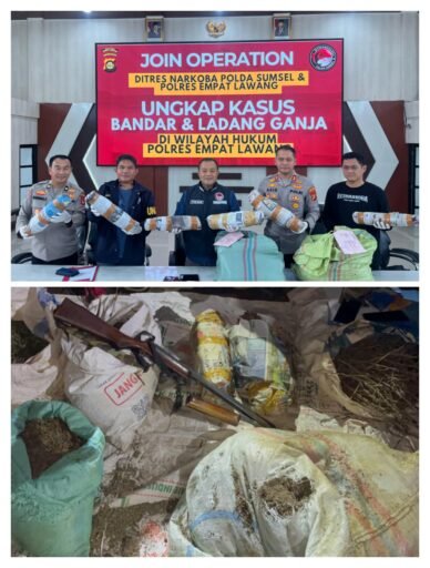 Ditresnarkoba Polda Sum Sel Dan Polres Empat Lawang Ungkap Jaringan Ganja Lintas Provensi Hingga Jawa
