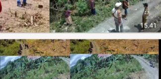 Aneh!!!Diduga Mafia tanah Sokhiaro Halawa Bersama Afri laia