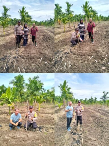 Polsek Merbau Lakukan Pengecekan Lahan Jagung Pipil di Desa Bandul, Dukung Swasembada Pangan Nasional
