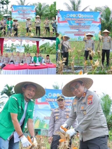 Polres Meranti Ikuti Panen Raya Jagung Nasional dan Launching Program Ketahanan Pangan Polri