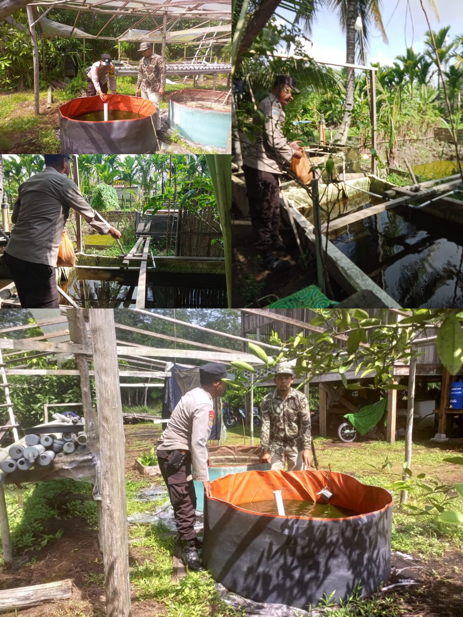 Polsek Merbau Sambangi Peternak Ikan, Dukung Ketahanan dan Swasembada Pangan Nasional
